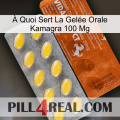 À Quoi Sert La Gelée Orale Kamagra 100 Mg 42